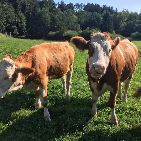 Apartment Gruberhof Rimsting